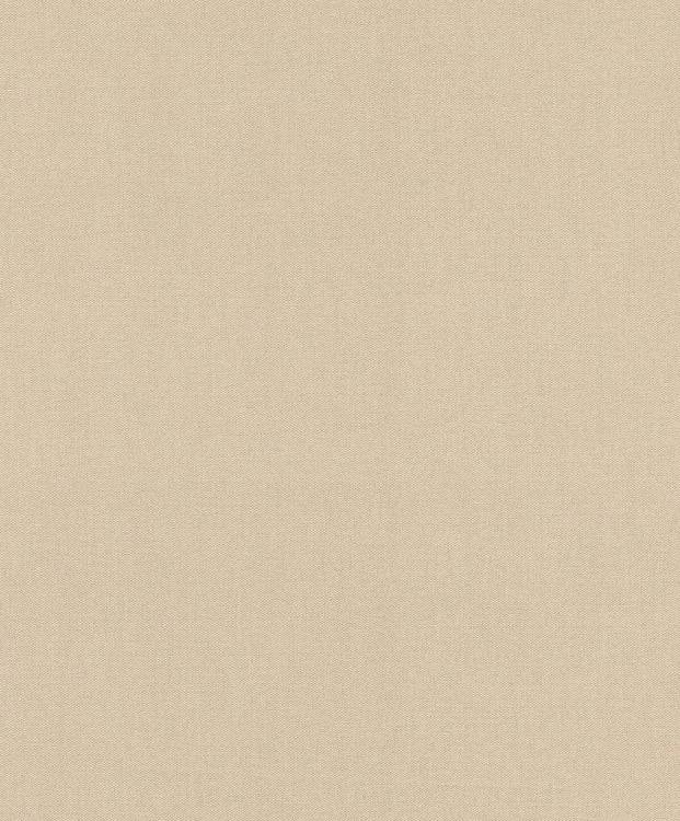 Обои флизелиновые Rasch Color Your Life 633689
