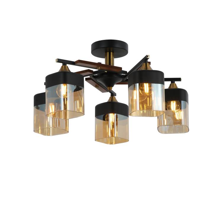 Люстра Freya Modern FR5154PL-05B