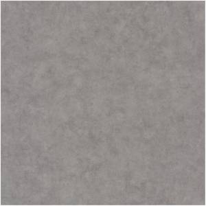 Обои Caselio Beton 101489600