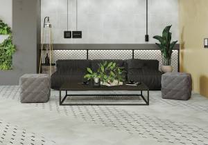 New Trend Anima