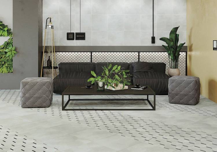 New Trend Anima