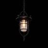 Подвесной светильник Loft IT Warehouse Loft1141 фото 2
