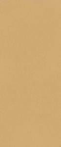 Керамическая плитка FAP Ceramiche True Color fTDS Caramel Matt RT 50x120