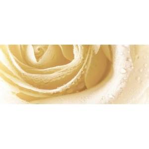 Декор Cerrol Royal Syntia Rose 3 20x50