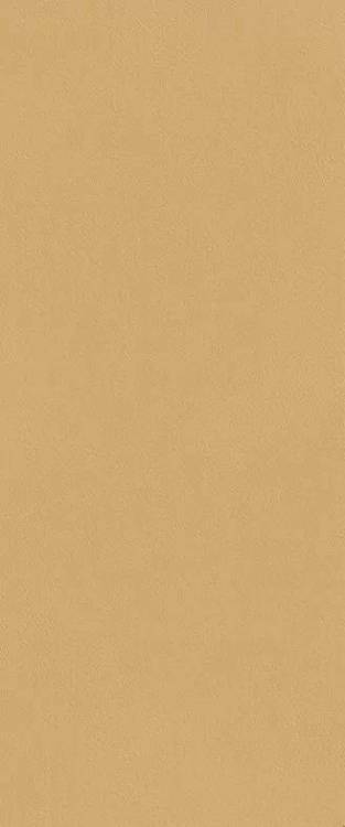 Керамическая плитка FAP Ceramiche True Color fTDS Caramel Matt RT 50x120