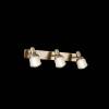 Спот Freya Arlette FR7003WL-03BZ фото 2