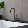 Смеситель для кухни Raiber Graceful RPB-012 черный фото 3