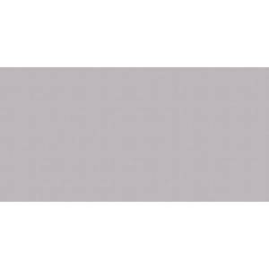 Керамогранит NT Ceramic Lux Shine NTTVL99100GC Silver Glossy 60x120