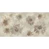Декор Imola Ceramica Retina BLOOM6 12 RM 60x120