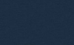 Обои флизелиновые Erismann Amazonika 60465-06