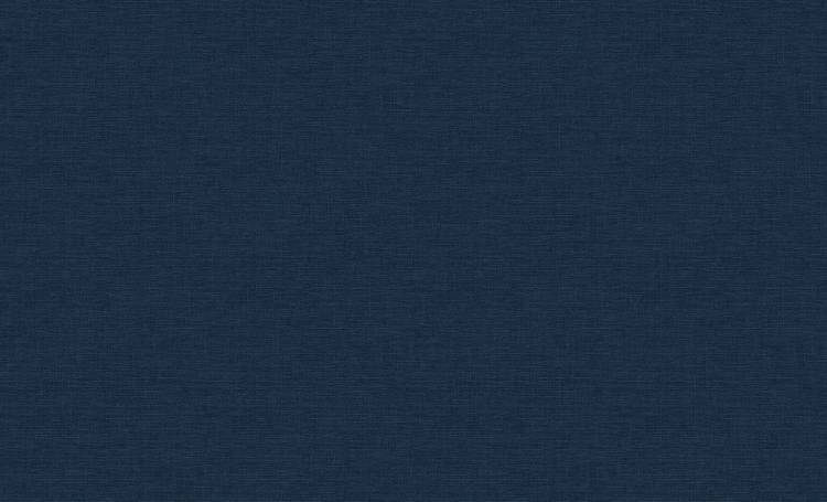 Обои флизелиновые Erismann Amazonika 60465-06