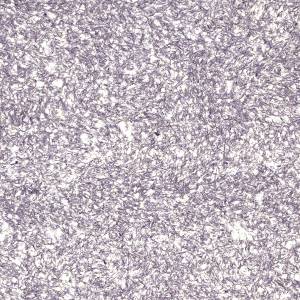 Жидкие обои Silk Plaster Master Silk 25