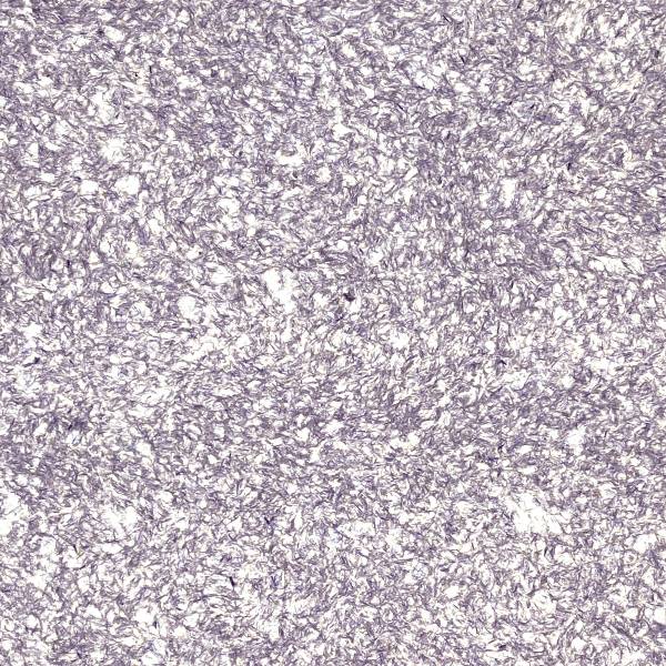 Жидкие обои Silk Plaster Master Silk 25