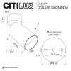 Накладной спот Citilux Axel CL512214 фото 11