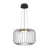 Подвесной светильник Freya Citrus FR5398PL-L8B