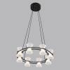 Подвесная светодиодная люстра Lumion Vinora 8341/28L фото 4