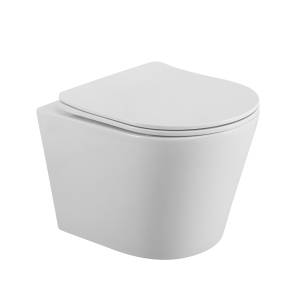 Унитаз подвесной BelBagno Flay-R BB053CHR/SC безободковый, с сиденьем микролифт, белый