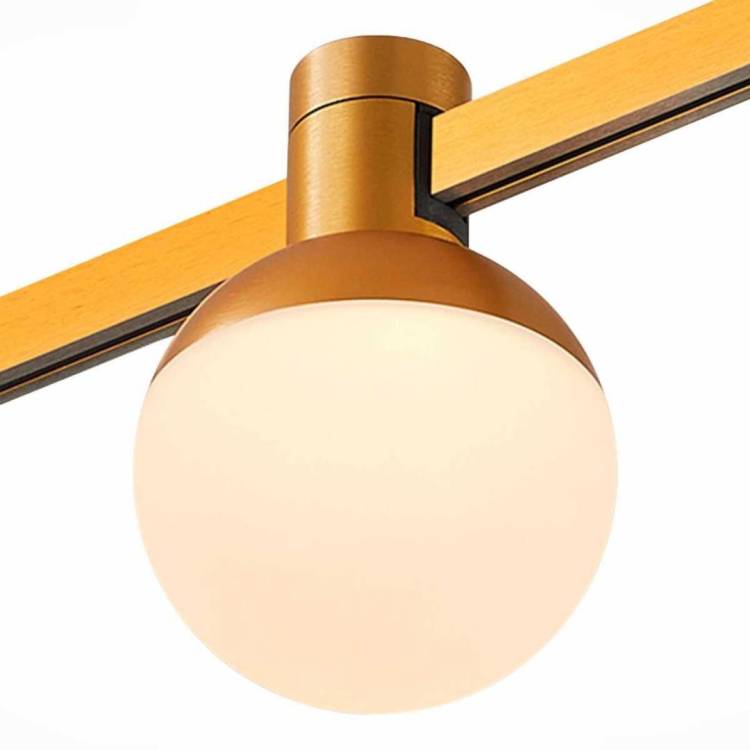 Трековый светильник ST Luce ST815.246.05