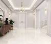 Керамогранит NT Ceramic Onyx NTT99954D Onice Ice Pro 60x120 фото 34