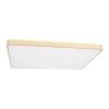 Потолочный светильник Loft IT Flims 10228/E
