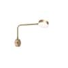 Бра Crystal Lux Clt 214W Bs фото 3