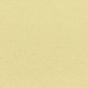 Обои флизелиновые Aura Plain Resource Vol 2 B1180309