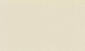 Обои Rasch Wall Textures Xl III 979374