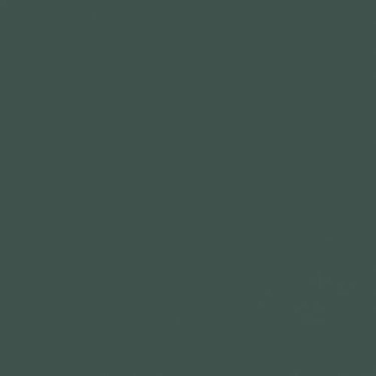 Обои Cassanie Simply SP034