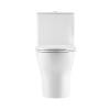 Унитаз-моноблок BelBagno Lounge BB8618CPR-MN/SC безободковый, с сиденьем микролифт, белый фото 5