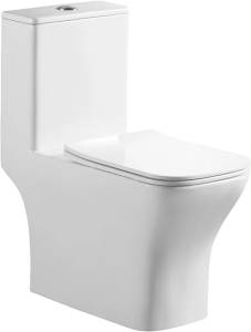 Унитаз-моноблок BelBagno Neon BB8617CPR-MN/SC безободковый, с микролифтом