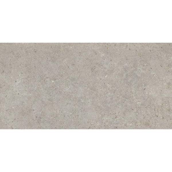 Керамогранит Kerama Marazzi Риккарди SG519920R Серый Светлый Матовый Обрезной 60x119.5