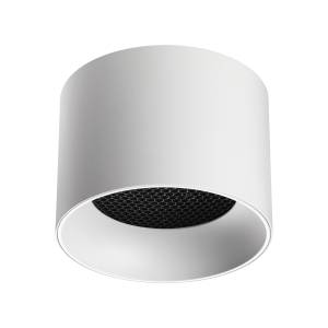 Потолочный светильник Novotech Gemini 371009