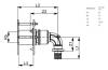 Сквозное угловое присоединение TECE TECEflex 16 x 1/2, бронза фото 2
