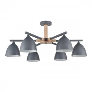 Люстра потолочная Lumion Moderni 8096/6C