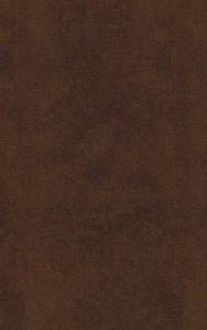 Керамическая плитка Ceramica Classic Глатея терракот 25x40
