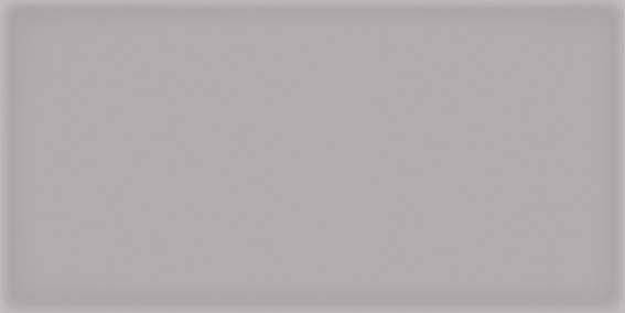 Керамическая плитка Vives Corso Gris 10x20