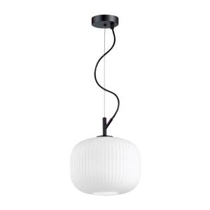Подвесной светильник Odeon Light Pendant Roofi 4753/1
