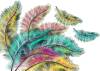 3D Фотообои Artegrafico «Радужные перья» NV-034 акварель