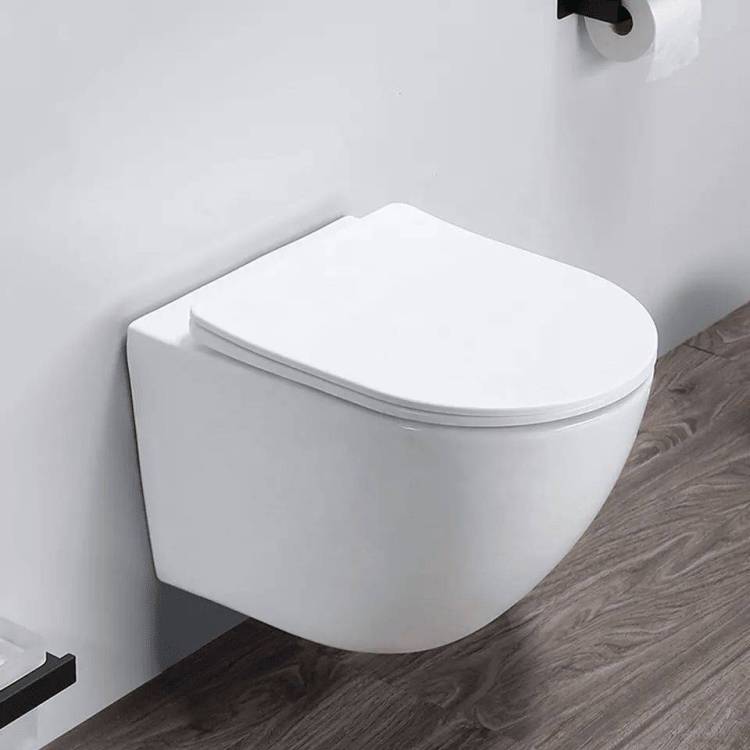 Унитаз подвесной Cerutti Spa Sella Aria 7183 безободковый, с микролифтом