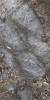 Керамогранит Primavera CR211 Canyon Grey Carving 60x120 фото 3
