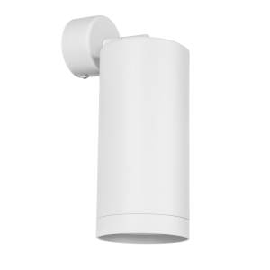 Настенно-потолочные светильники Lightstar Rullo RB34863486