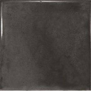 Керамическая плитка Equipe Splendours 23969 Black 15x15