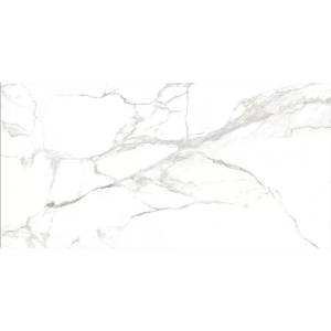 Керамогранит Absolut Gres Statuario Metrix AB 1186G Gloss 60x120