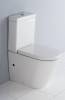 Унитаз-компакт BelBagno Flay-r BB2149CPR/SC + BB2149T фото 3