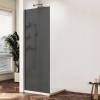 Душевая перегородка Vincea Walk in WS VSW-1HWS900GFGM профиль вороненая сталь, стекло матовое тонированное, 90x200