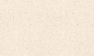 Обои Rasch Trend 974218