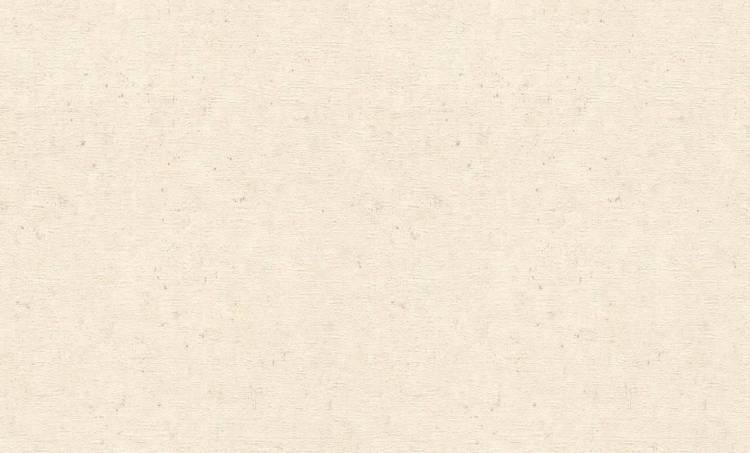 Обои Rasch Trend 974218