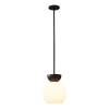 Подвесной светильник iLamp Mono P6079-1 BK+WH фото 2