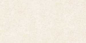 Керамогранит Alma Ceramica Amsterdam GFA114ADM04R 57x114