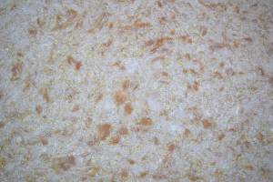 Жидкие обои Silk Plaster Эко Лайн 763